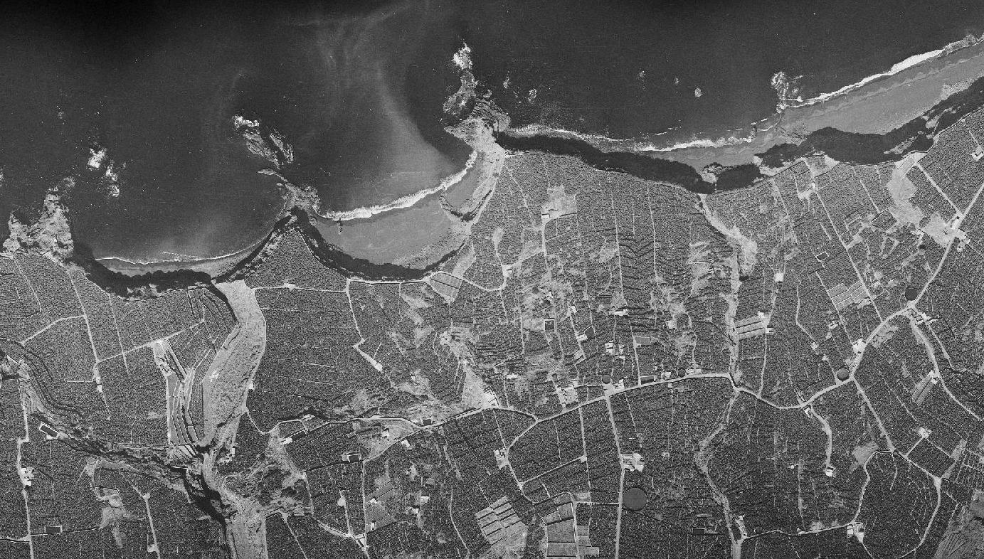 AMBITO 1956